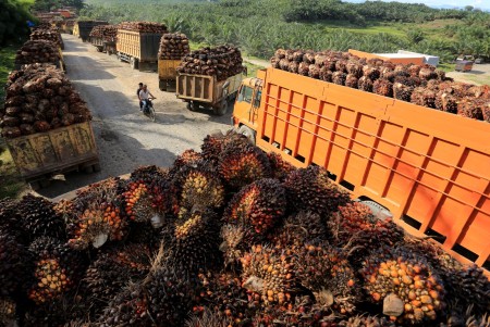 Indonesia Promosikan Produk Hilir Kelapa Sawit ke Pasar Internasional