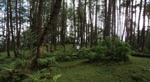 Takut Jarum Suntik Vaksin Covid, Warga Satu Kampung Bersembunyi di Hutan