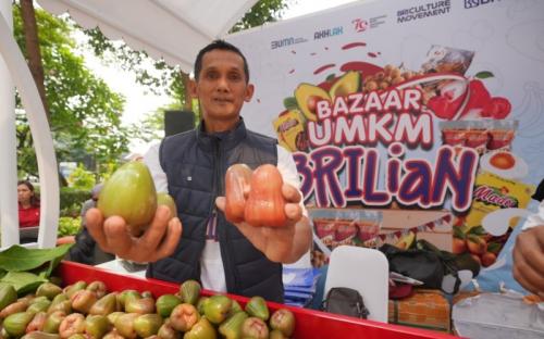 Berkat Pemberdayaan BRI, Petani Jambu Citra di Kudus Sukses Kembangkan Usaha 