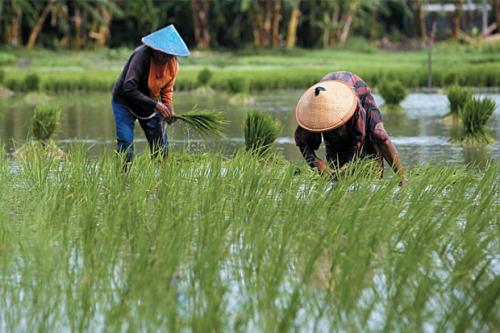 Prabowo Mau Hapus Utang Petani dan Nelayan di Bank, Perpres Terbit Pekan Depan