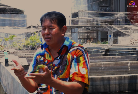 Cerita Pengusaha Budidaya Sukses di Indonesia, Bos Ikan Hias Omzet Ratusan Juta Sebulan