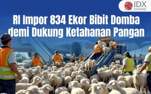 RI Impor 834 Ekor Bibit Domba demi Dukung Ketahanan Pangan