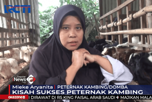 Kisah Sukses Mantan Penjual Koran Jadi Peternak, Omzet Tembus Ratusan Juta